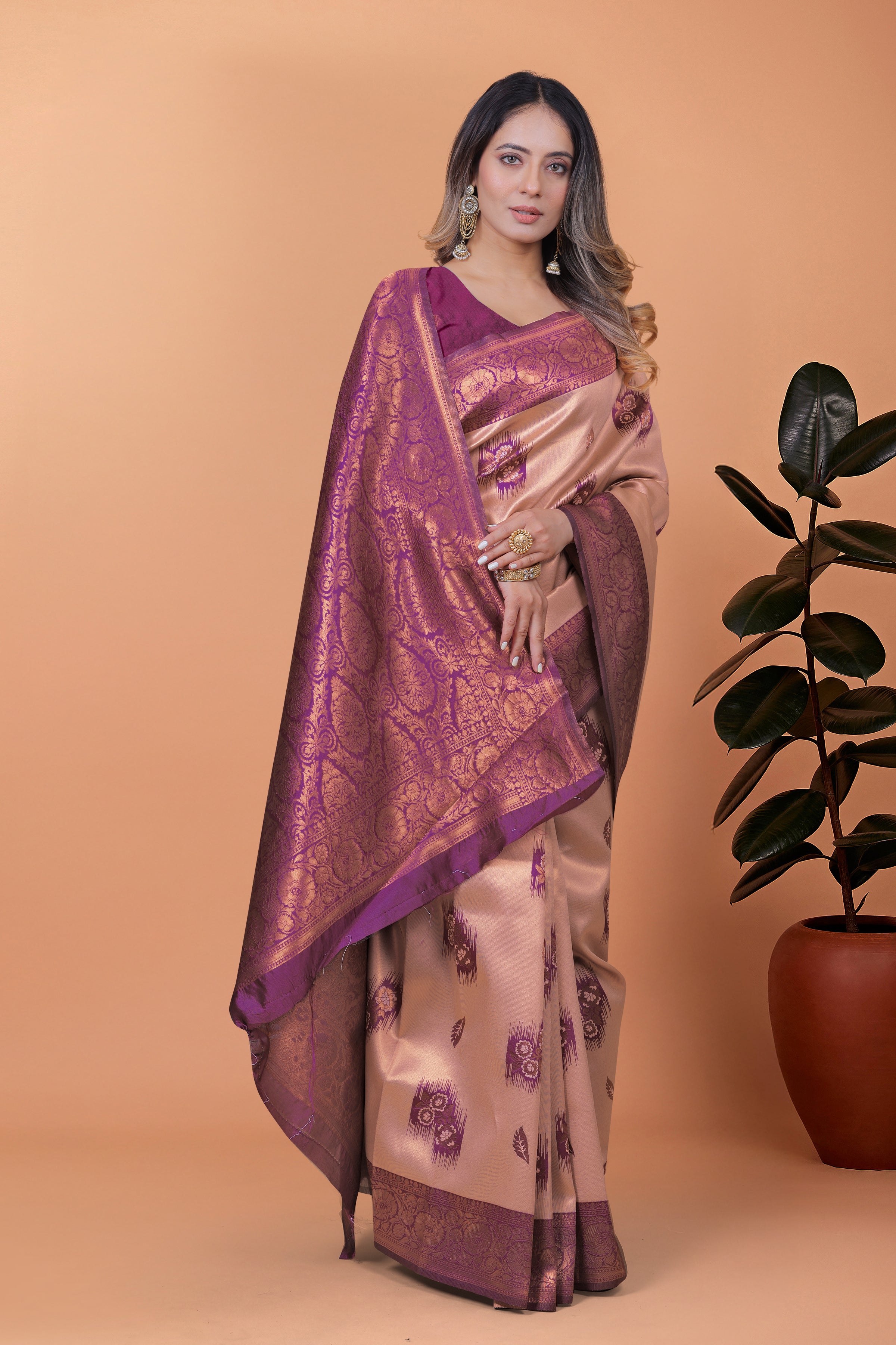 Banarasi Silk Saree with Zari Embellishment with 8 color option ✨💙💚